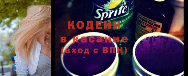 МДПВ Бородино