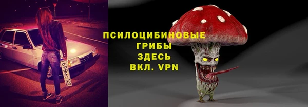 МДПВ Бородино