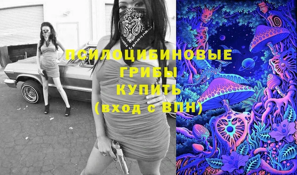 МДПВ Бородино