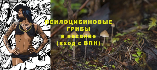 альфа пвп Верхнеуральск